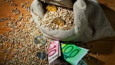 Az agrártámogatásoknak köszönhetően stabilabbá vált a termelők helyzete