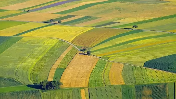 Változások lesznek a zöldítési és a termeléshez kötött támogatásokban