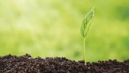 Lábunk alatt kincs hever (I. rész) – A változó klímát követő műveléssel a talaj minősége javítható