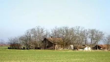 Pályázatok, támogatások