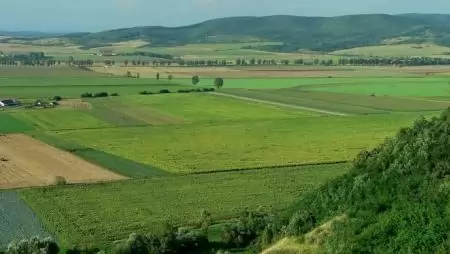 Az agrárium nélkül elképzelhetetlen a gazdaság versenyképességének javítása