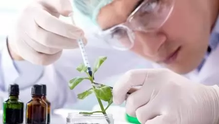 Agrárinnovációs- és biotechnológiai fejlesztési programokra lehet pályázni
