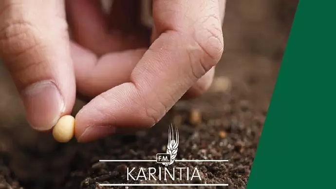 Fogytán a bőtermő fajták  – Érdemes sietni a fajtaválasztással