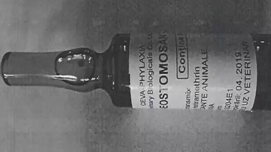 Hamis állatgyógyszer forgalmazása miatt tett feljelentést a NÉBIH