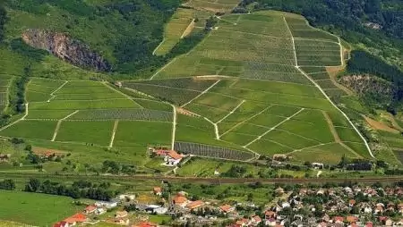 Beszerzői közösség alakult a tokaji borvidéken