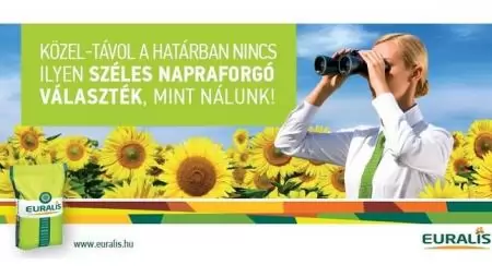 Innováció, teljesítmény,  minőség és megbízhatóság