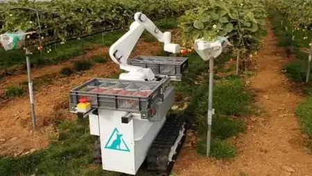 Eperszedő robotot fejlesztettek Angliában