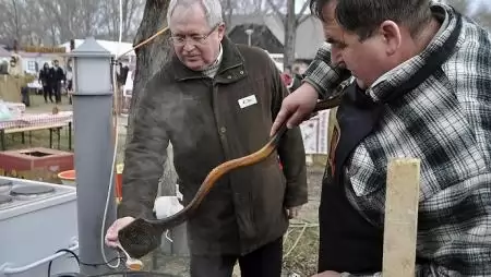 Szezonzáró böllérfesztivál Abádszalókon