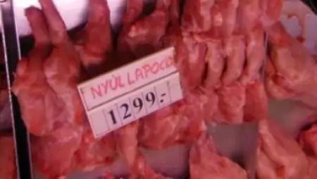 Több mint 60 kg ismeretlen eredetű nyúlhúst foglalt le a NÉBIH