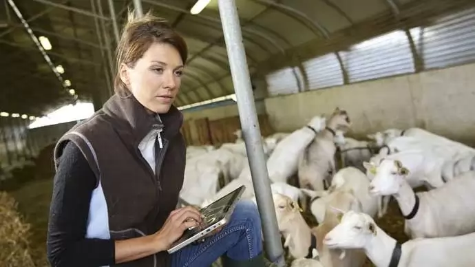 A jövő elkezdődött – Precíziós technológiák az állattartásban 