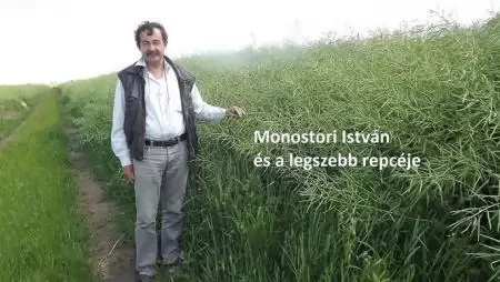 Felhasználói tapasztalatok az Arysta biostimulátorairól, 4. rész!