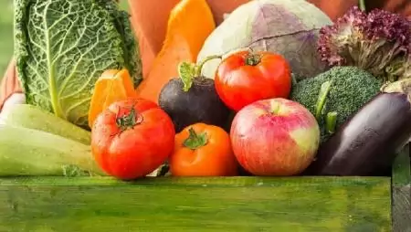 A hobbikertészek kevésbé precízek a vegyszerhasználatnál 