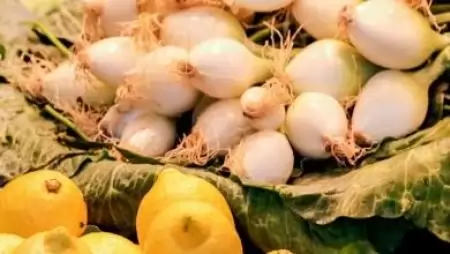 Rovarölő szerrel szennyezett újhagyma