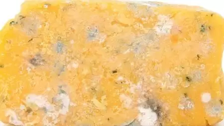 Jöhet a penészgyilkos technológia