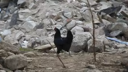 Umbria a földrengések után