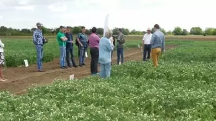 Nemzetközi vetőmag-kereskedők a NÉBIH fajtakitermesztési állomásán