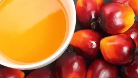 Állítsuk meg a nemzetek  feletti vállalatokat!