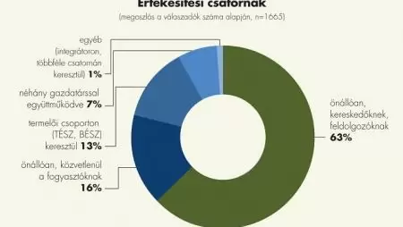 Önállóan vagy közösen?