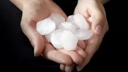 Agrárbiztosítások: biztos pont egy bizonytalan ágazatban 