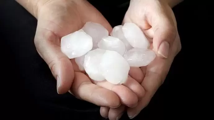 Agrárbiztosítások: biztos pont egy bizonytalan ágazatban 