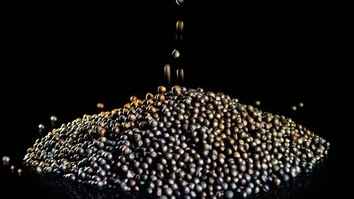 GYAKORLATORIENTÁLT NEMESÍTÉS A VÁLASZ A HÉTKÖZNAPOK KIHÍVÁSAIRA