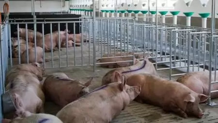 Több pénz jut jövőre az agrártámogatásokra