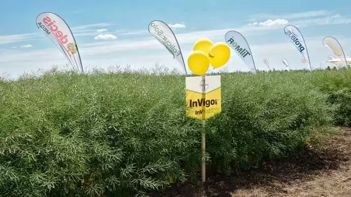 Bayer Farm növényvédelmi bemutatók