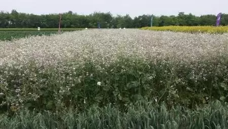 2018-ban is kiemelt támogatásban részesül a mezőgazdaság