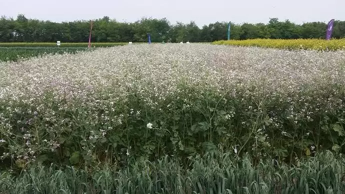 2018-ban is kiemelt támogatásban részesül a mezőgazdaság