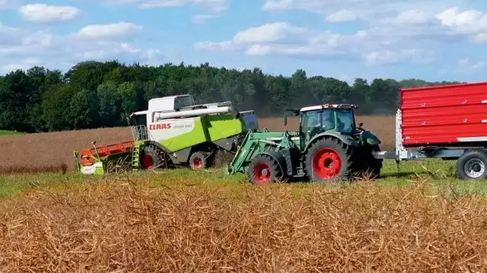 Repcebetakarítás – nyugodt döntéssel a nagyobb hozamért