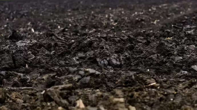 Mezőgazdasági termőtalajok védelme – szakmai kerekasztal