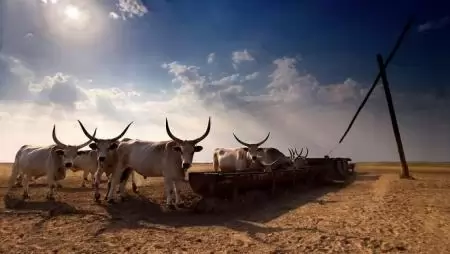 Valamennyi vidékfejlesztési pályázatot kiírták a határidőig