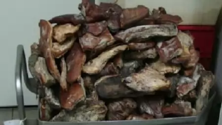 Bezárt a Nébih egy somogyi húsüzemet