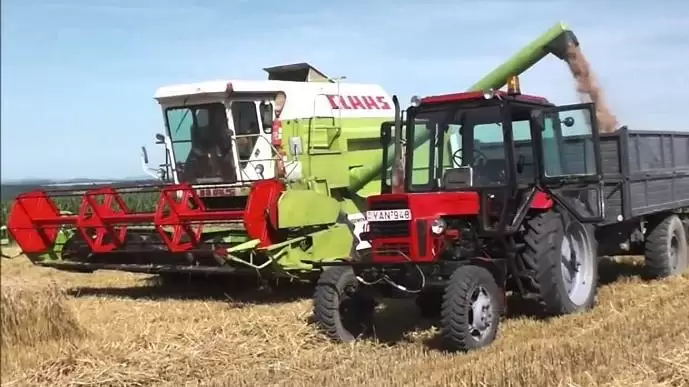 Befejeződött az őszi búza aratása