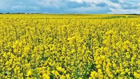 TREZZOR – „Biztonság azoknak, akik nagy számokban gondolkodnak!”