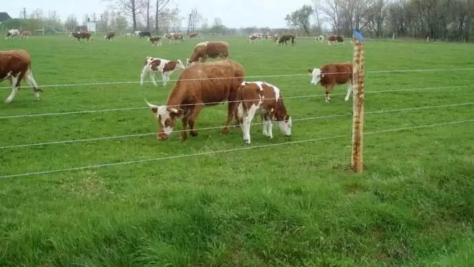 Őrizünk és védünk