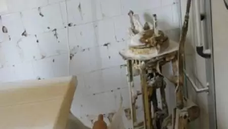  Bezárt egy budapesti pékséget a NÉBIH