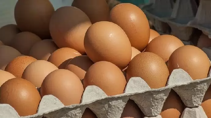 Több tétellel bővült a fipronillal szennyezett termékek listája