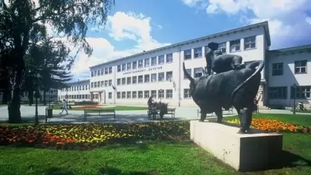 Növényvédelmi szakmérnök szakirányú továbbképzés