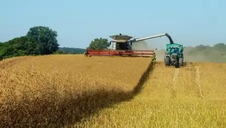 RAPOOL-hibridrepcék terméstanúsítása a Magyar Kukorica Klub mérései alapján (FRISS EREDMÉNYEK+VIDEÓ)