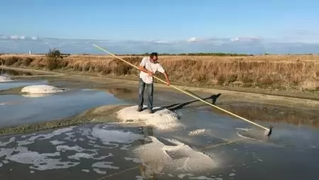 Ismét divatba jöttek a sófarmok