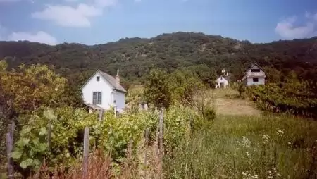 300 millió forint támogatás a zártkertek megújítására