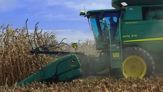 Meddig kukoricázhatunk még a termőfölddel?