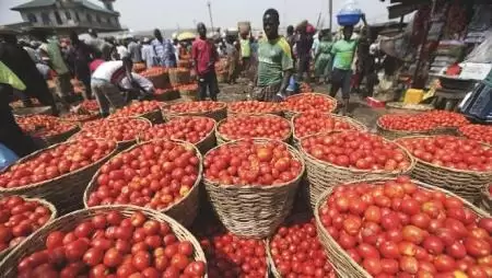 Paradicsom helyett pokol