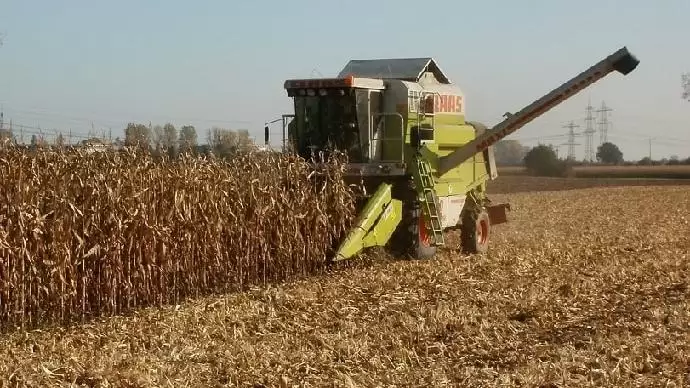 Végéhez közeledik a betakarítás – jó átlagok születtek