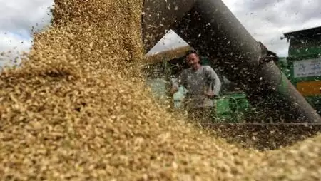 Egyre több terményt zúdítanak az oroszok a világpiacra