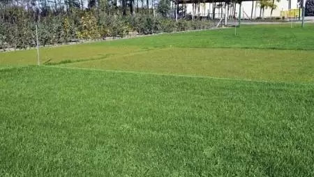 A növényi tápanyagforrás, amelyet szó szerint lehúzunk a vécén