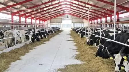 Állattenyésztés csúcsminőségben