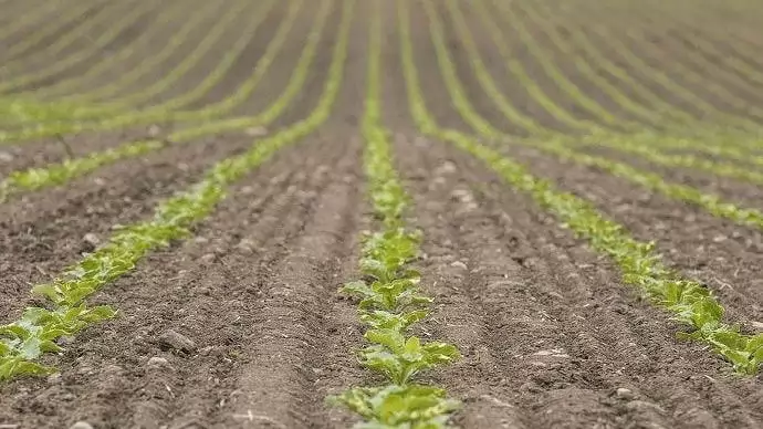 A Väderstad Tempo még tökéletesebb eredményt biztosít aprómagvú növények esetében