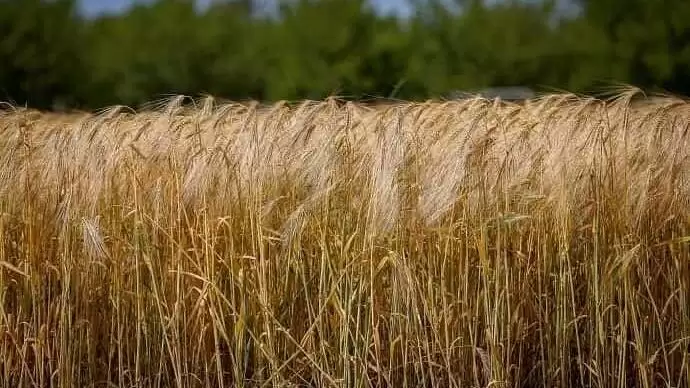 Jó irányba fejlődik a mezőgazdaság